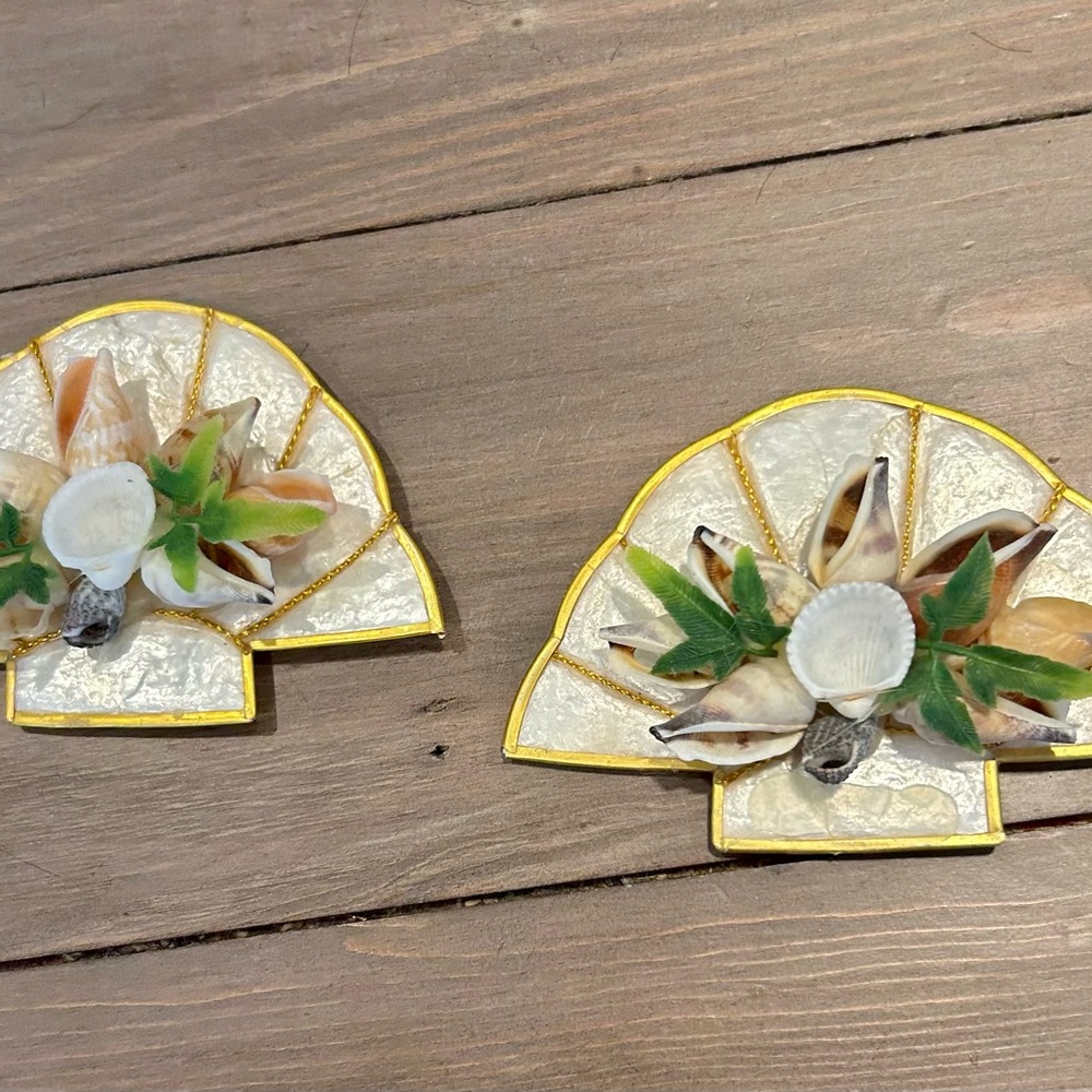 Sea shell fan magnets- set of 2